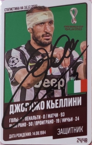 Draxsus Кубок мира 2022 (48) 24 Джорджо Кьеллини