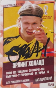 Draxsus Кубок мира 2022 (48) 31 Эрлинг Холанд