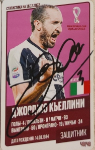 Draxsus Кубок мира 2022 (48) 48 Джорджо Кьеллини