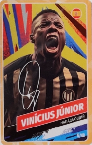 Kidaki Коллекция ИИ (48) 6 Vinicius Junior